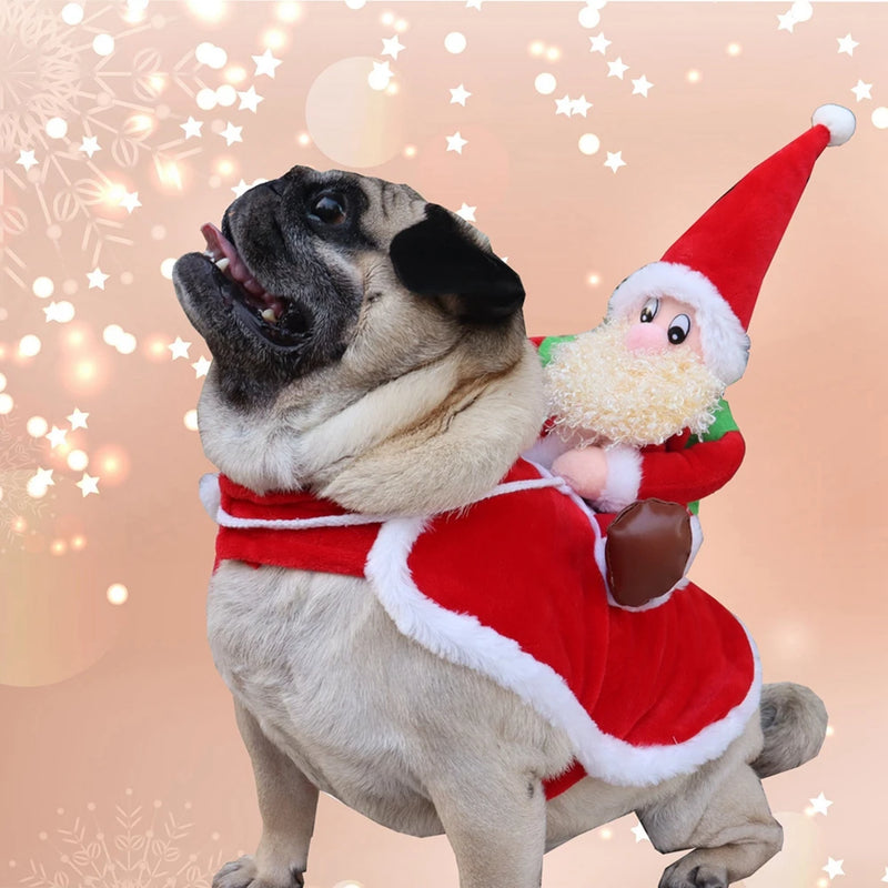 Traje de Natal para Cães e Gatos
