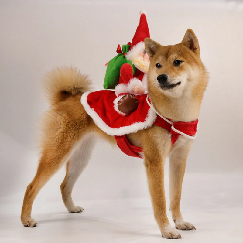 Traje de Natal para Cães e Gatos